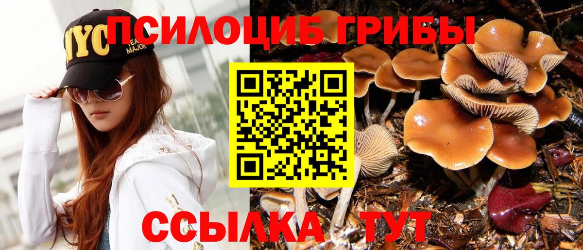 Севастополь  Галлюциногенные грибы Psilocybine cubensis  Вход с VPN 