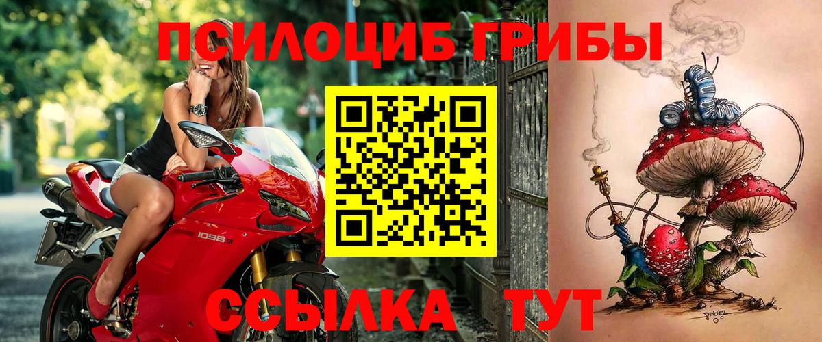 Галлюциногенные грибы Magic Shrooms Севастополь